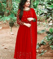 High-Quality Embroidery Georgette fabric Lock moti Gown with Dupatta 4pcs (DR10)